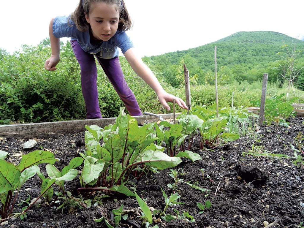 family garden planting