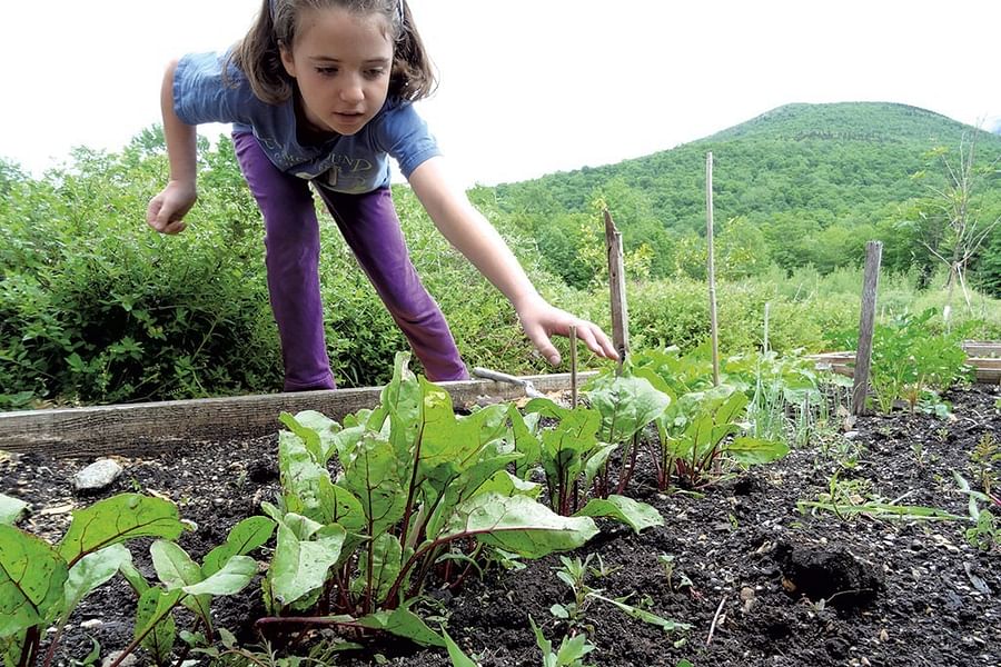 family garden planting
